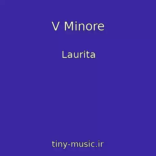 کاور آهنگ V Minore از Laurita