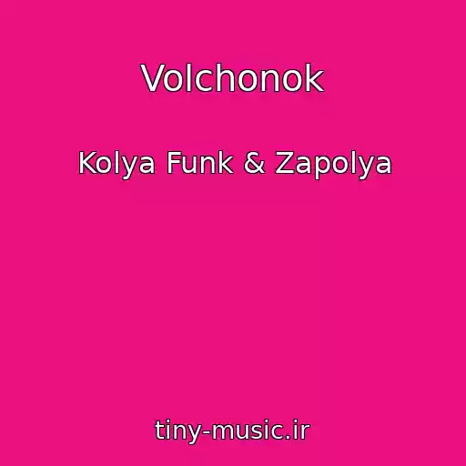 کاور آهنگ Volchonok از Kolya Funk & Zapolya