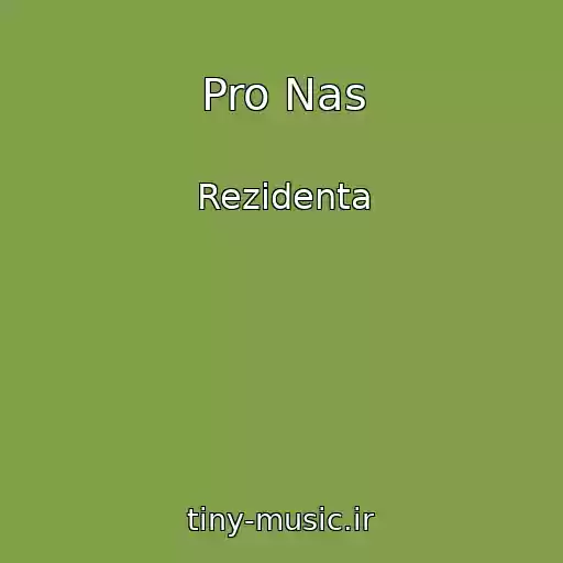 کاور آهنگ Pro Nas از Rezidenta