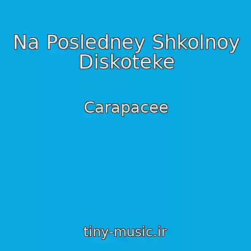 کاور آهنگ Na Posledney Shkolnoy Diskoteke از Carapacee