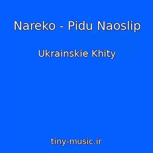کاور آهنگ Nareko - Pіdu Naoslіp از Ukrainskie Khity