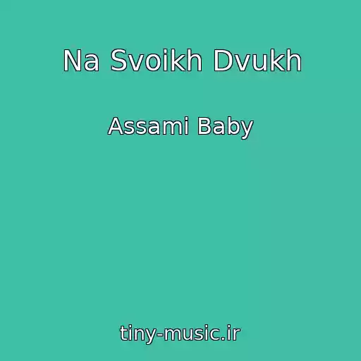 کاور آهنگ Na Svoikh Dvukh از Assami Baby