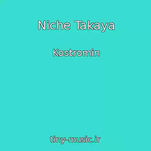 کاور آهنگ Niche Takaya از Kostromin