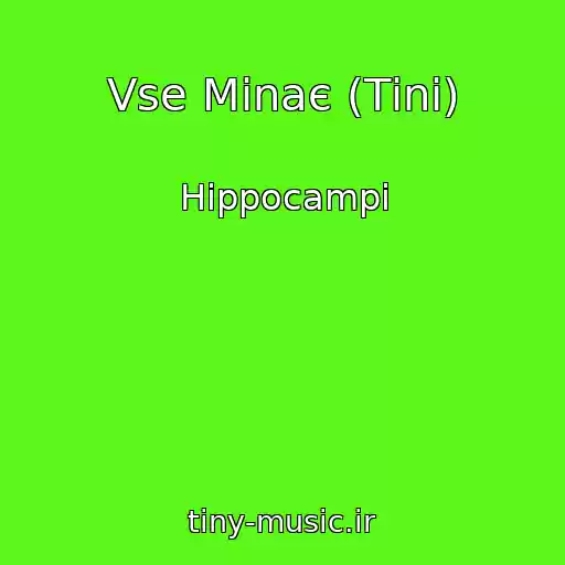 کاور آهنگ Vse Minaє (Tіnі) از Hippocampi