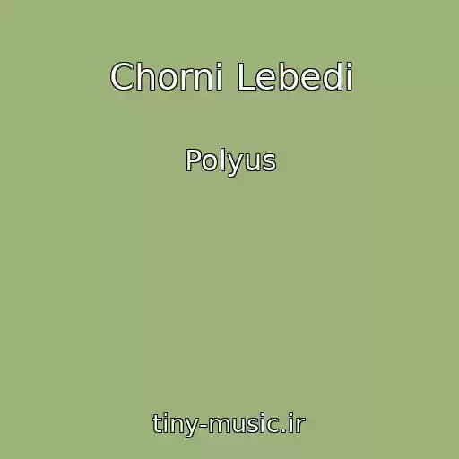 کاور آهنگ Chornі Lebedі از Polyus