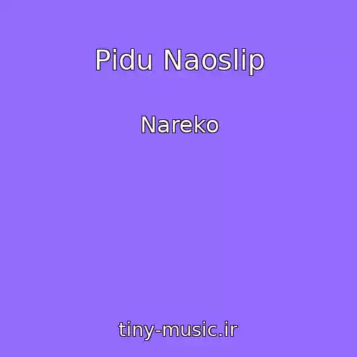 کاور آهنگ Pіdu Naoslіp از Nareko
