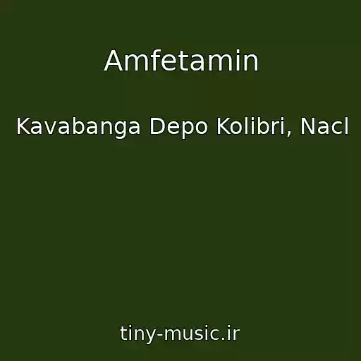 کاور آهنگ Amfetamin از Kavabanga Depo Kolibri, Nacl