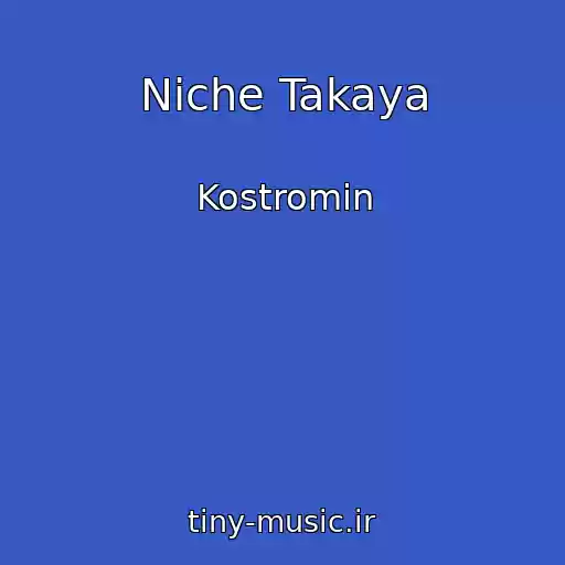 کاور آهنگ Niche Takaya از Kostromin