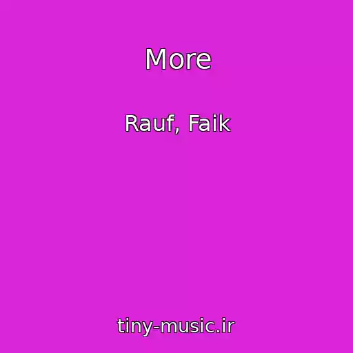 کاور آهنگ More از Rauf, Faik