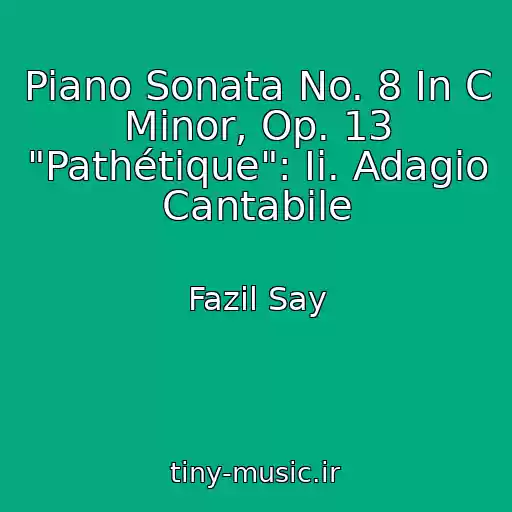 کاور آهنگ Piano Sonata No. 8 In C Minor, Op. 13 "Pathétique": Ii. Adagio Cantabile از Fazil Say
