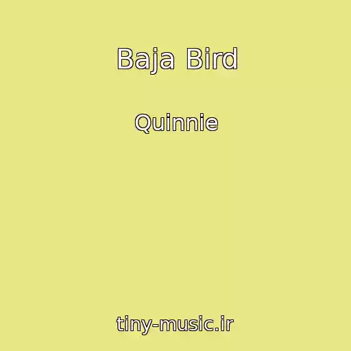 کاور آهنگ Baja Bird از Quinnie