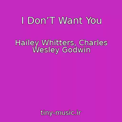 کاور آهنگ I Don’T Want You از Hailey Whitters, Charles Wesley Godwin