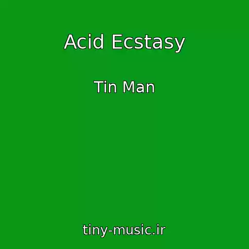 کاور آهنگ Acid Ecstasy از Tin Man