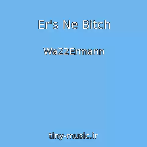 کاور آهنگ Er's Ne Bitch از Wa22Ermann