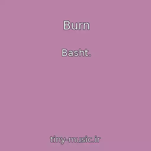 کاور آهنگ Burn از Basht.