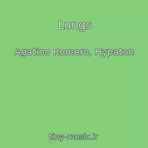 کاور آهنگ Lungs از Agatino Romero, Hypaton
