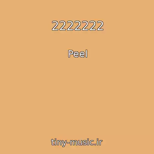 کاور آهنگ 2222222 از Peel