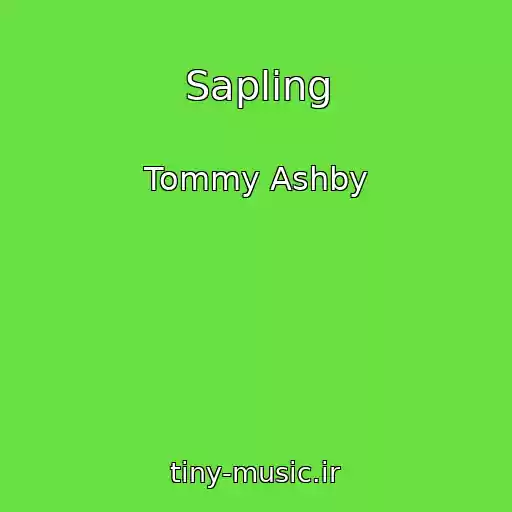 کاور آهنگ Sapling از Tommy Ashby