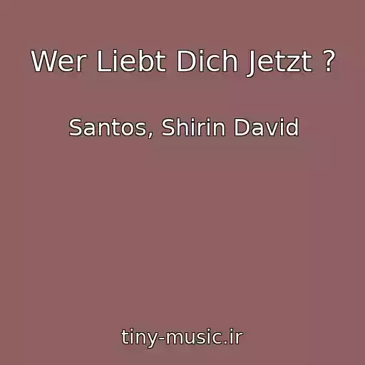 کاور آهنگ Wer Liebt Dich Jetzt ? از Santos, Shirin David