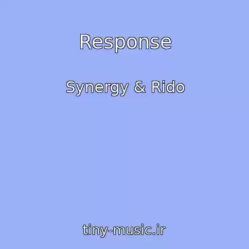 کاور آهنگ Response از Synergy & Rido
