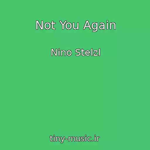 کاور آهنگ Not You Again از Nino Stelzl
