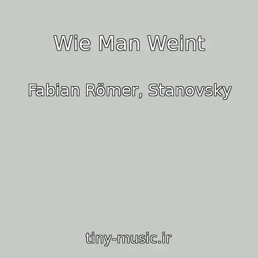 کاور آهنگ Wie Man Weint از Fabian Römer, Stanovsky