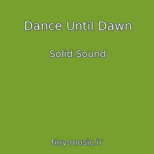 کاور آهنگ Dance Until Dawn از Solid Sound