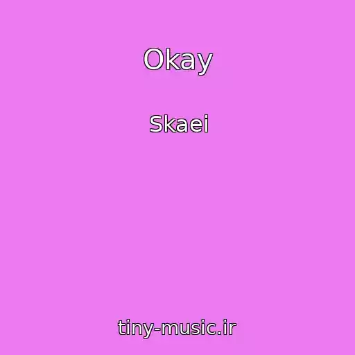 کاور آهنگ Okay از Skaei