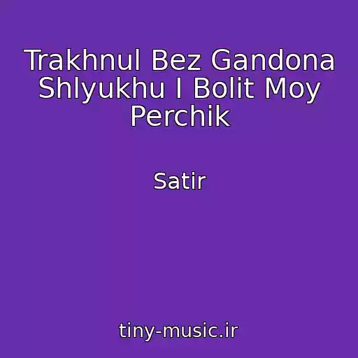 کاور آهنگ Trakhnul Bez Gandona Shlyukhu I Bolit Moy Perchik از Satir