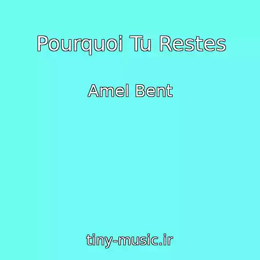 کاور آهنگ Pourquoi Tu Restes از Amel Bent