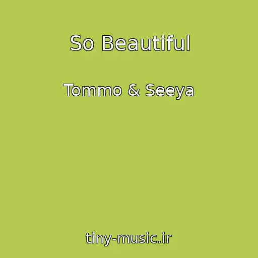 کاور آهنگ So Beautiful از Tommo & Seeya