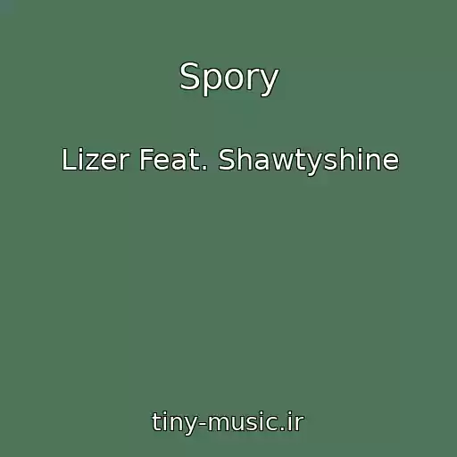 کاور آهنگ Spory از Lizer Feat. Shawtyshine