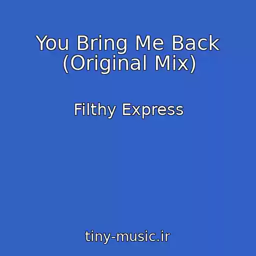 کاور آهنگ You Bring Me Back (Original Mix) از Filthy Express