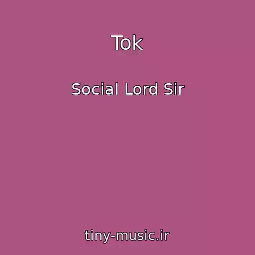 کاور آهنگ Tok از Social Lord Sir