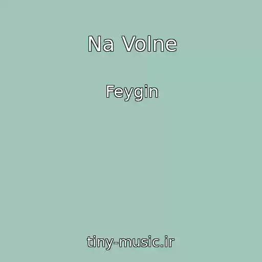 کاور آهنگ Na Volne از Feygin