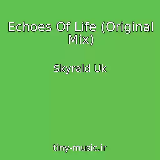 کاور آهنگ Echoes Of Life (Original Mix) از Skyraid Uk