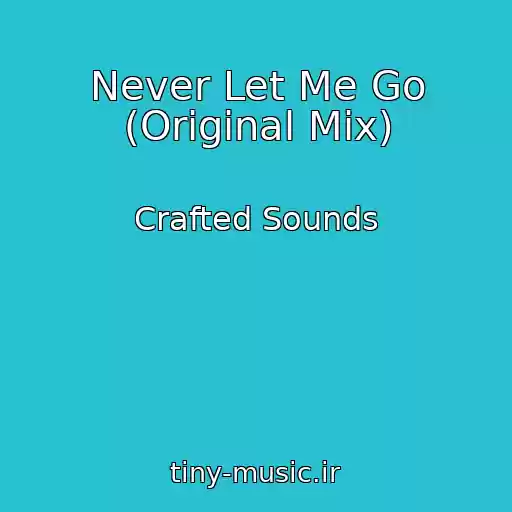 کاور آهنگ Never Let Me Go (Original Mix) از Crafted Sounds