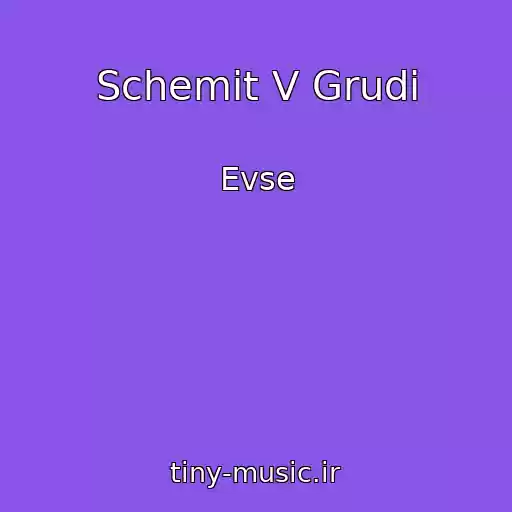 کاور آهنگ Schemit V Grudi از Evse