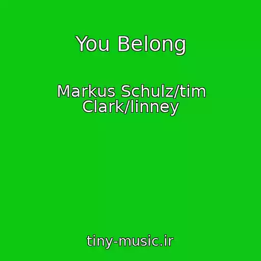 کاور آهنگ You Belong از Markus Schulz/tim Clark/linney