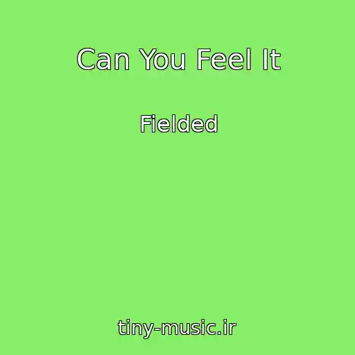 کاور آهنگ Can You Feel It از Fielded