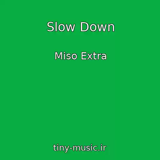 کاور آهنگ Slow Down از Miso Extra