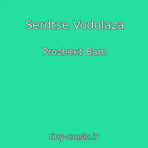 کاور آهنگ Serdtse Vodolaza از Prozhekt Bam