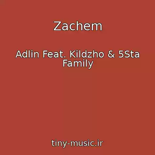 کاور آهنگ Zachem از Adlin Feat. Kildzho & 5Sta Family