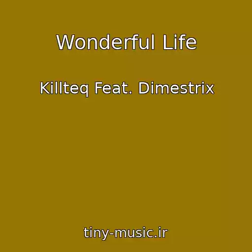 کاور آهنگ Wonderful Life از Killteq Feat. Dimestrix