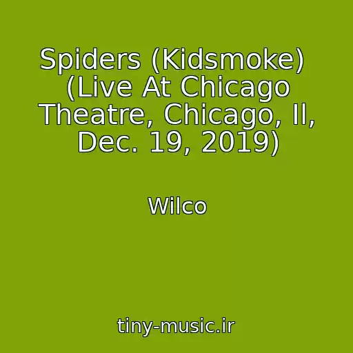 کاور آهنگ Spiders (Kidsmoke)  (Live At Chicago Theatre, Chicago, Il, Dec. 19, 2019) از Wilco