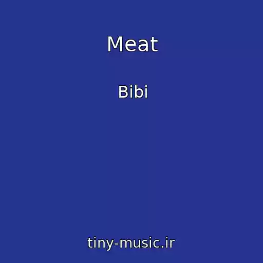 کاور آهنگ Meat از Bibi