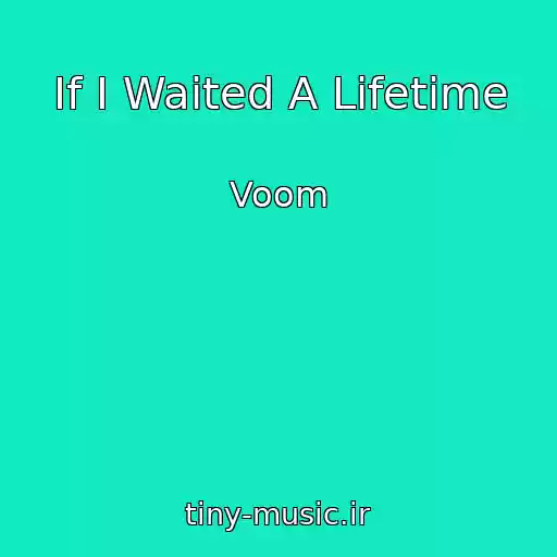 کاور آهنگ If I Waited A Lifetime از Voom