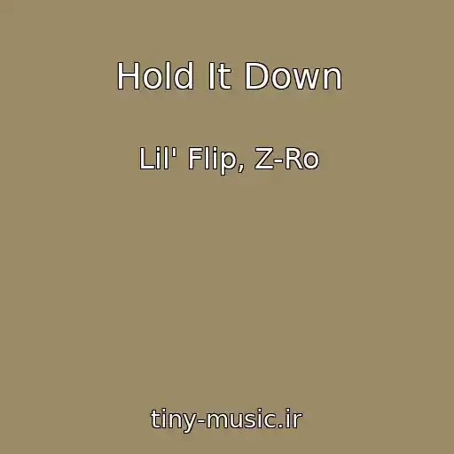 کاور آهنگ Hold It Down از Lil' Flip, Z-Ro