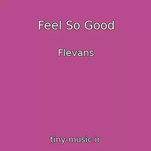 کاور آهنگ Feel So Good از Flevans