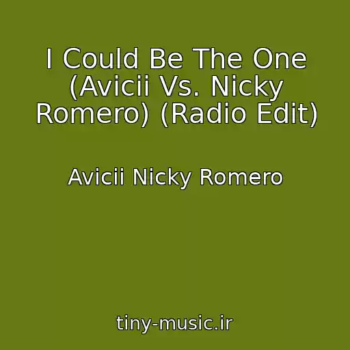 کاور آهنگ I Could Be The One (Avicii Vs. Nicky Romero) (Radio Edit) از Avicii Nicky Romero